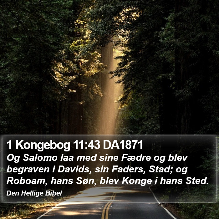 1 Kongebog 11:43 DA1871 Bible Study