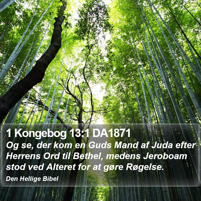 1 Kongebog 13:1 DA1871 Bible Study