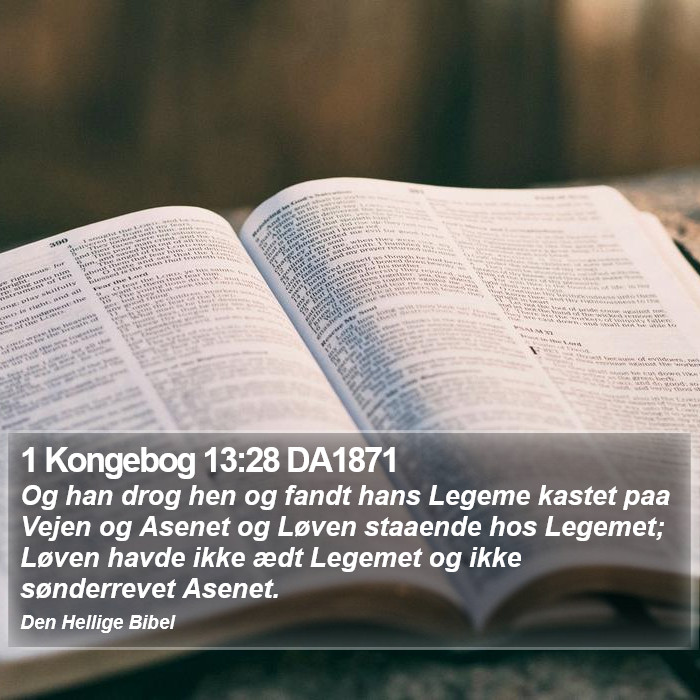 1 Kongebog 13:28 DA1871 Bible Study