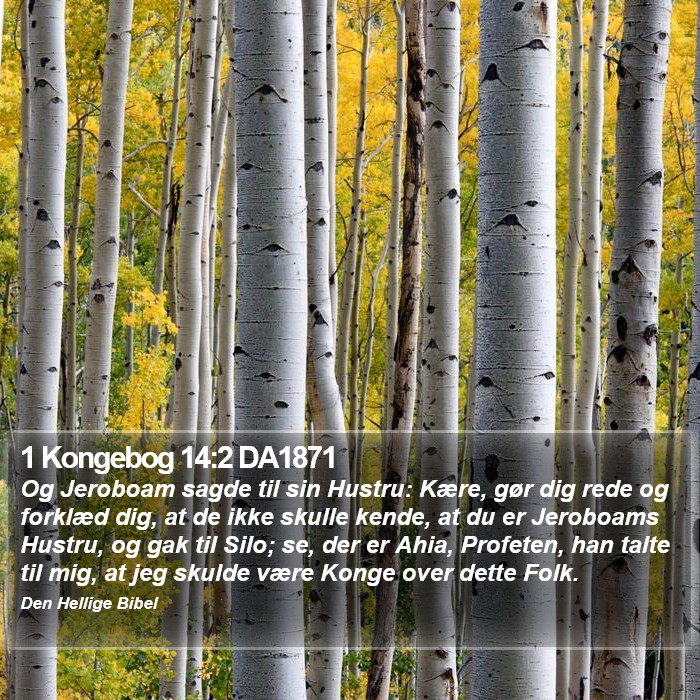 1 Kongebog 14:2 DA1871 Bible Study