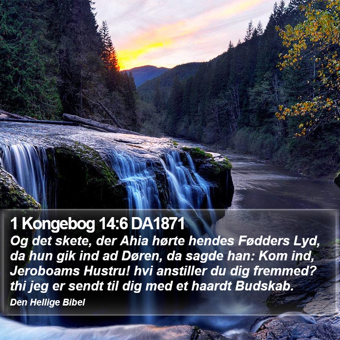 1 Kongebog 14:6 DA1871 Bible Study