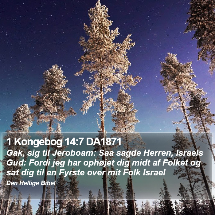 1 Kongebog 14:7 DA1871 Bible Study