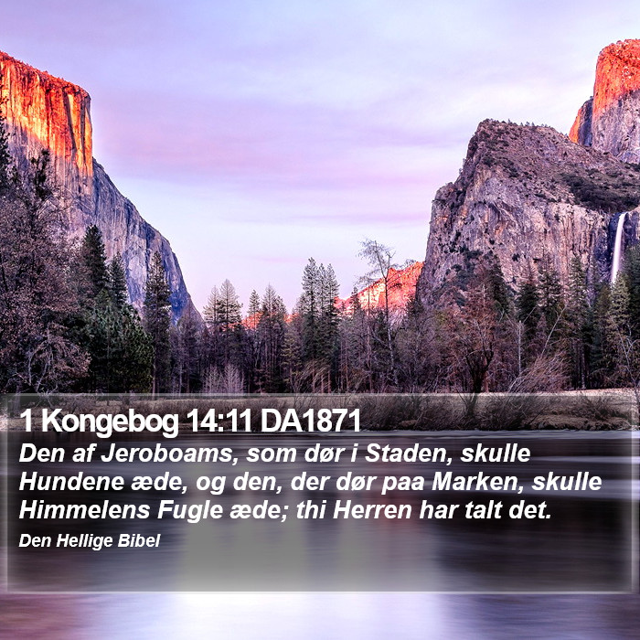 1 Kongebog 14:11 DA1871 Bible Study