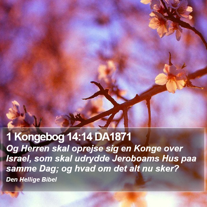 1 Kongebog 14:14 DA1871 Bible Study
