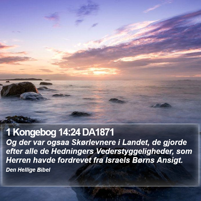 1 Kongebog 14:24 DA1871 Bible Study