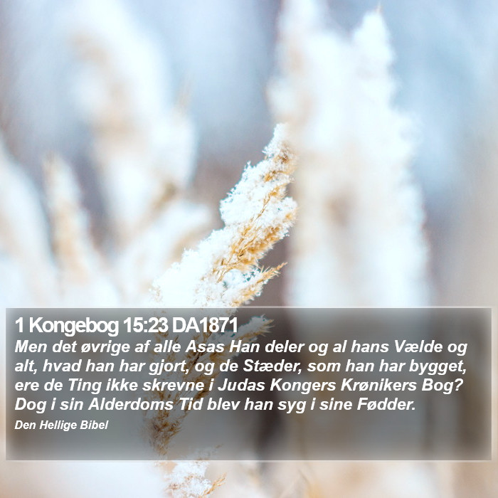 1 Kongebog 15:23 DA1871 Bible Study