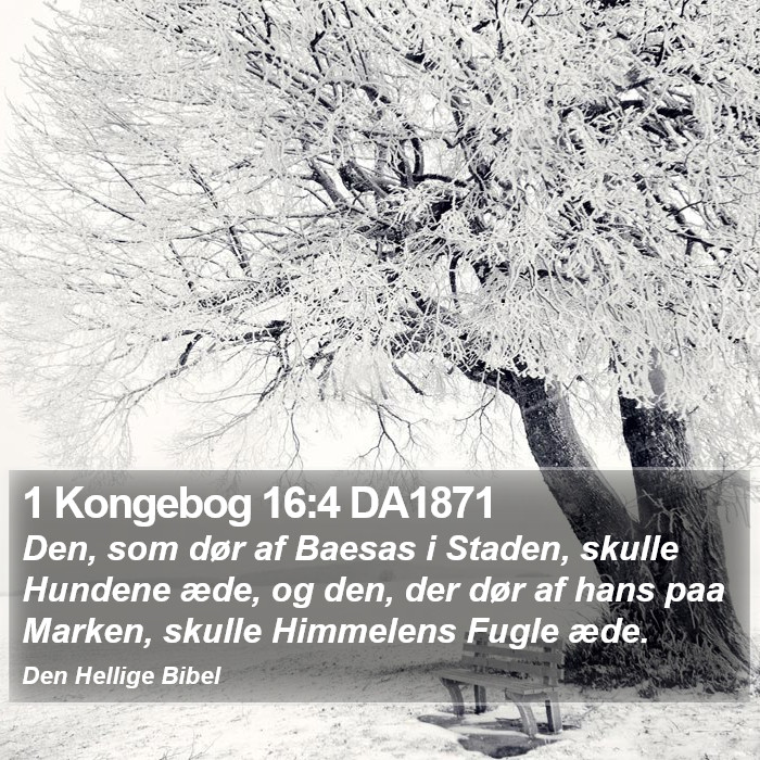 1 Kongebog 16:4 DA1871 Bible Study
