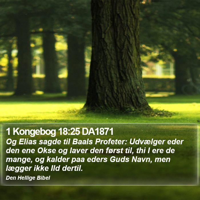 1 Kongebog 18:25 DA1871 Bible Study