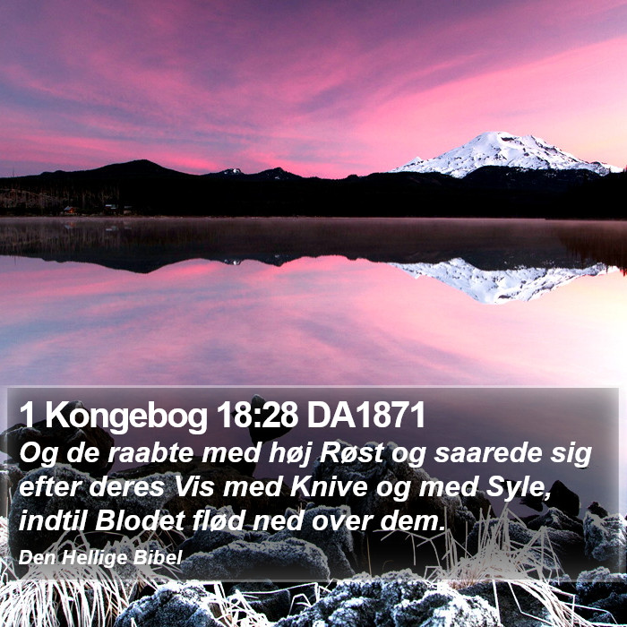 1 Kongebog 18:28 DA1871 Bible Study