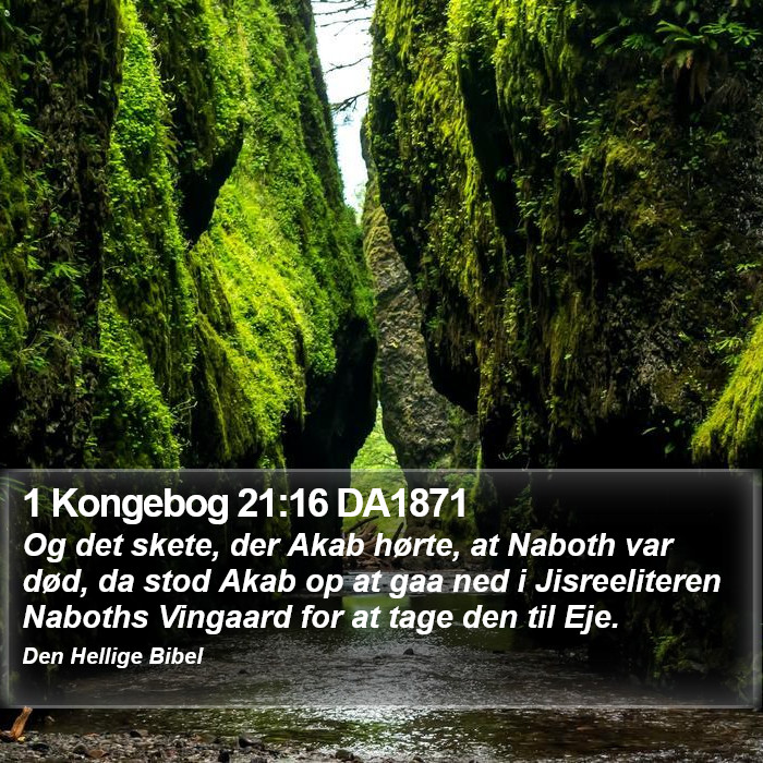 1 Kongebog 21:16 DA1871 Bible Study