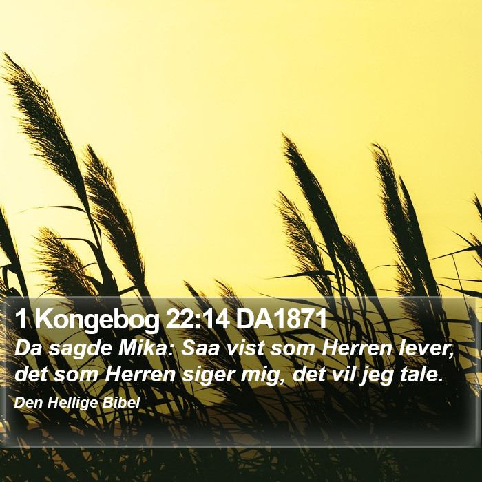 1 Kongebog 22:14 DA1871 Bible Study