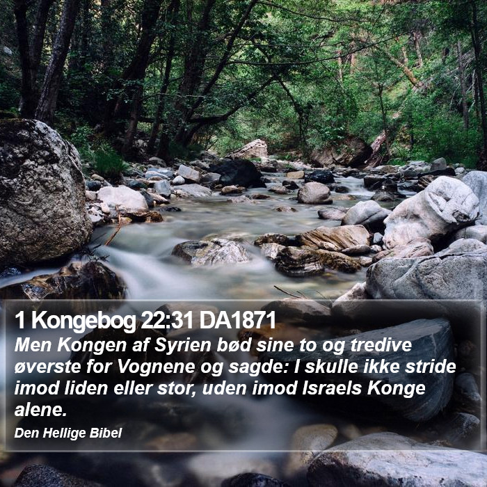 1 Kongebog 22:31 DA1871 Bible Study