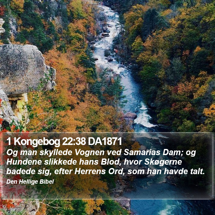 1 Kongebog 22:38 DA1871 Bible Study