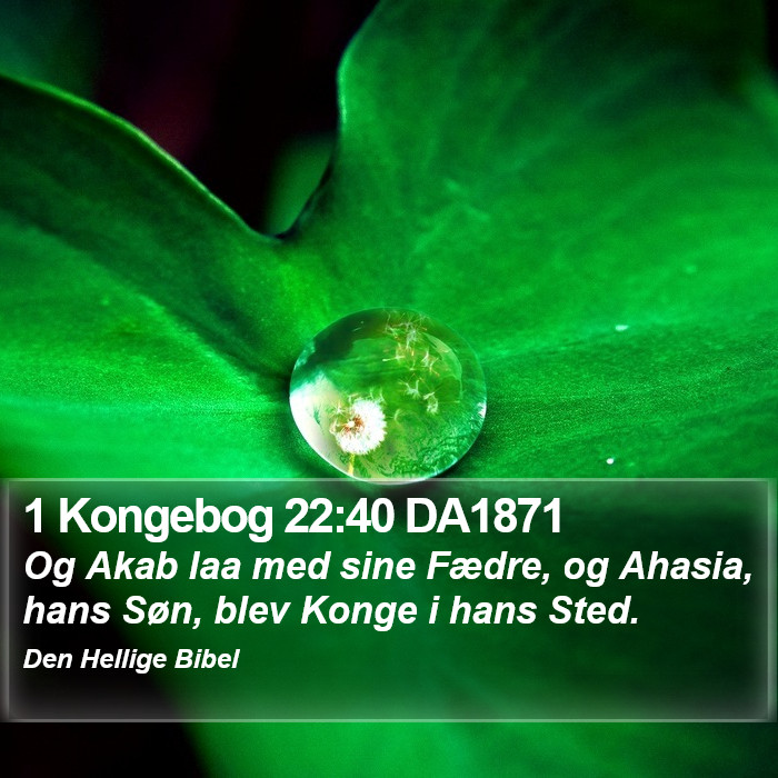 1 Kongebog 22:40 DA1871 Bible Study