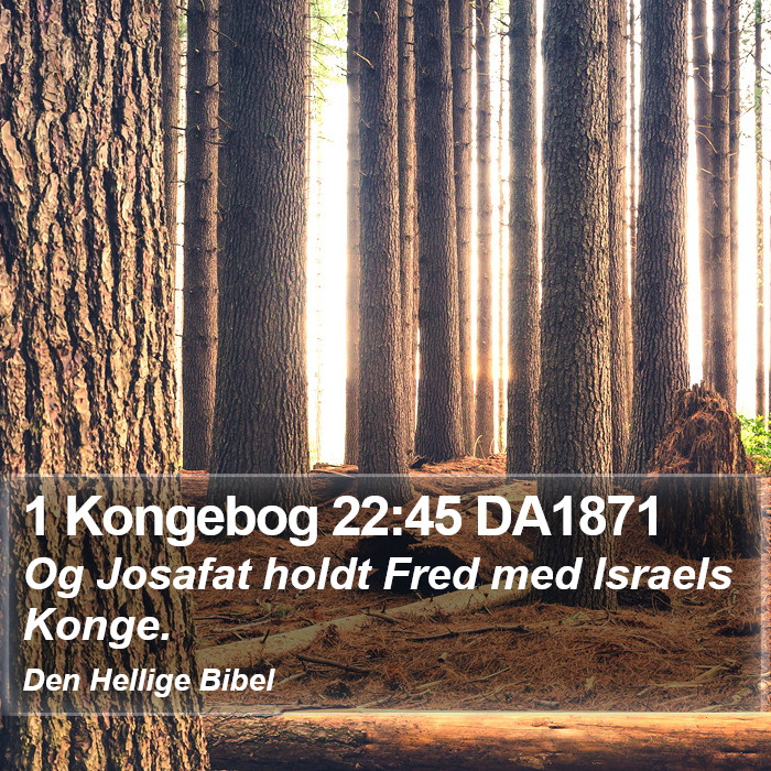 1 Kongebog 22:45 DA1871 Bible Study