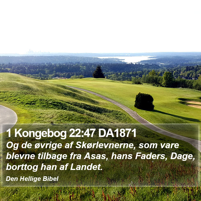 1 Kongebog 22:47 DA1871 Bible Study