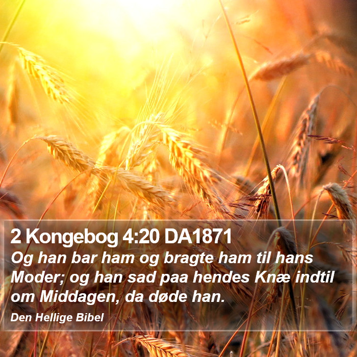 2 Kongebog 4:20 DA1871 Bible Study