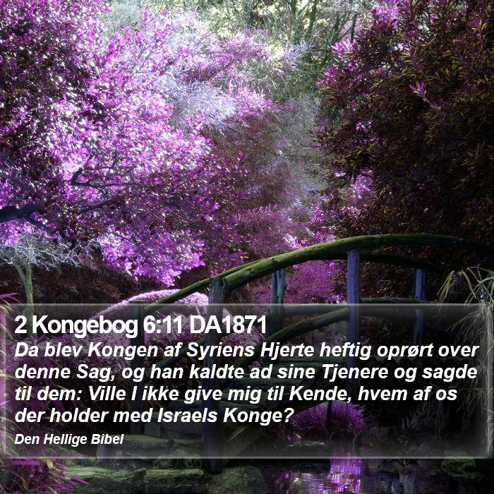 2 Kongebog 6:11 DA1871 Bible Study