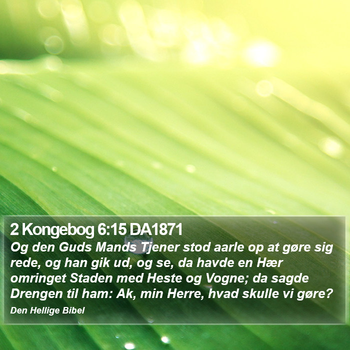 2 Kongebog 6:15 DA1871 Bible Study