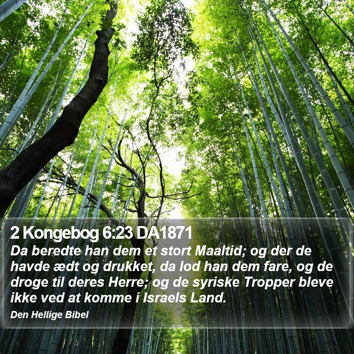 2 Kongebog 6:23 DA1871 Bible Study