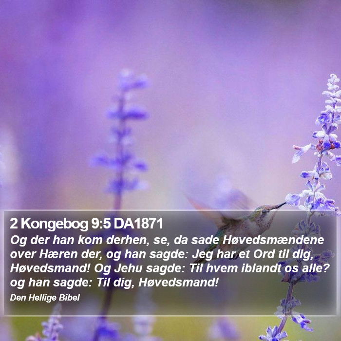 2 Kongebog 9:5 DA1871 Bible Study