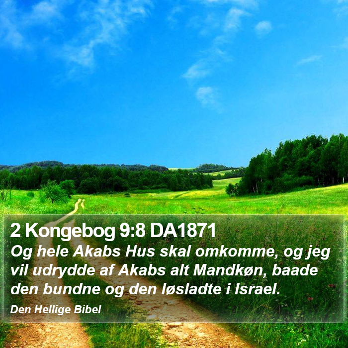 2 Kongebog 9:8 DA1871 Bible Study