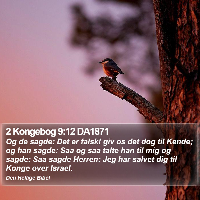 2 Kongebog 9:12 DA1871 Bible Study