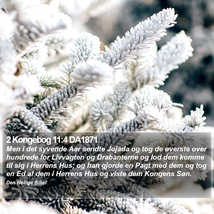 2 Kongebog 11:4 DA1871 Bible Study