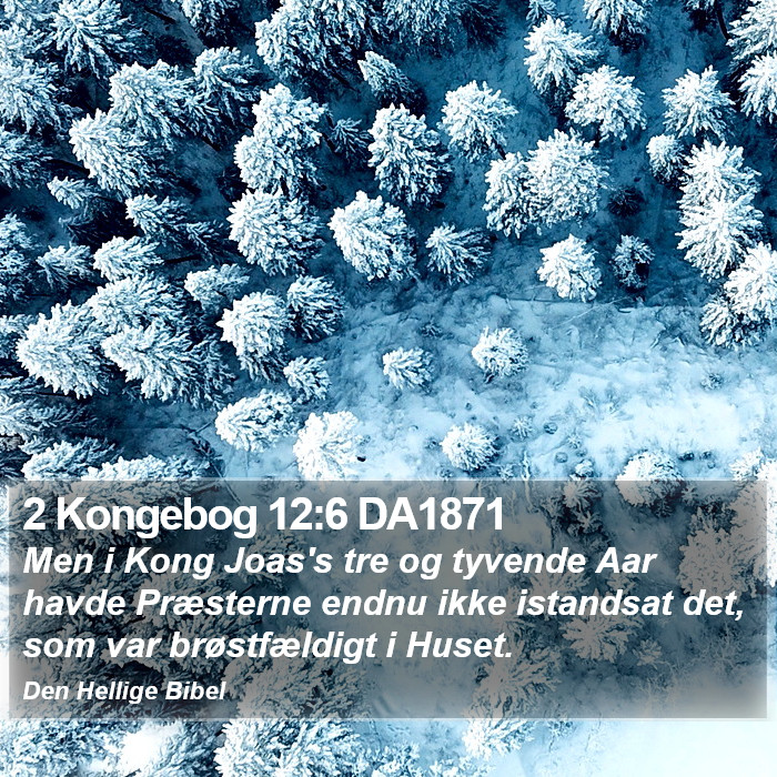 2 Kongebog 12:6 DA1871 Bible Study