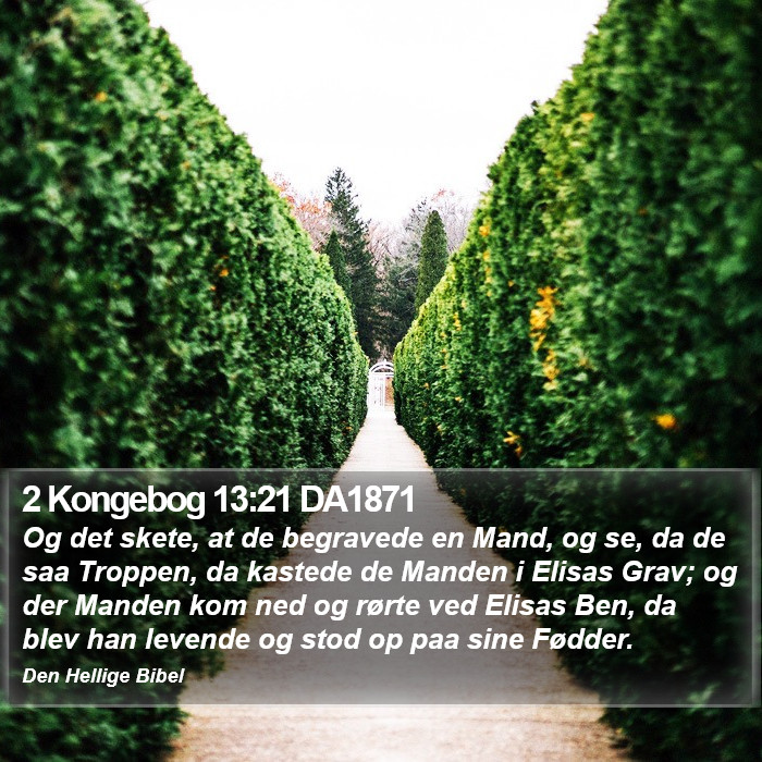 2 Kongebog 13:21 DA1871 Bible Study