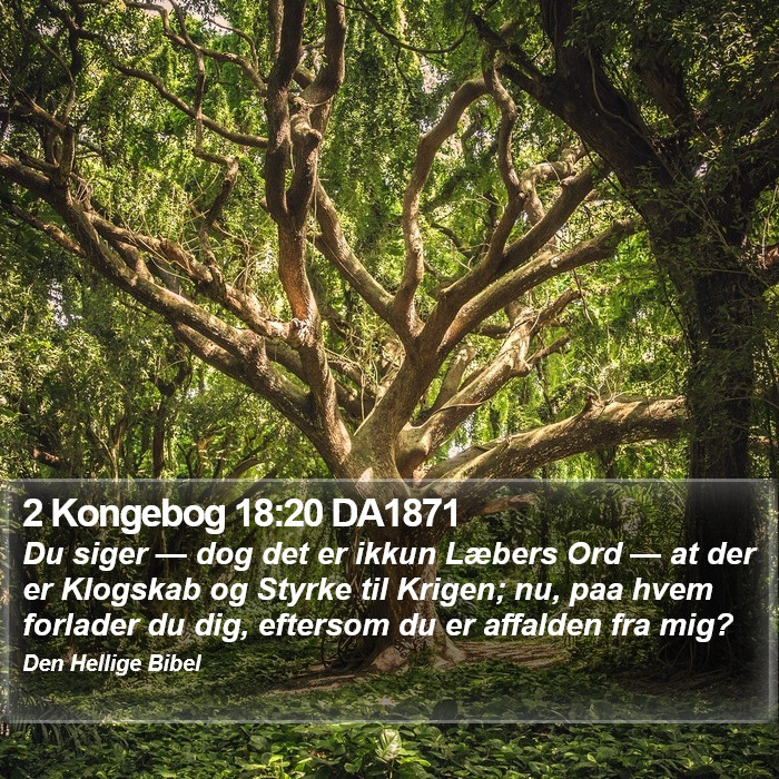 2 Kongebog 18:20 DA1871 Bible Study