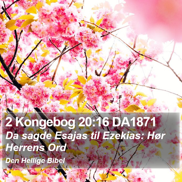 2 Kongebog 20:16 DA1871 Bible Study