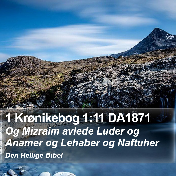 1 Krønikebog 1:11 DA1871 Bible Study