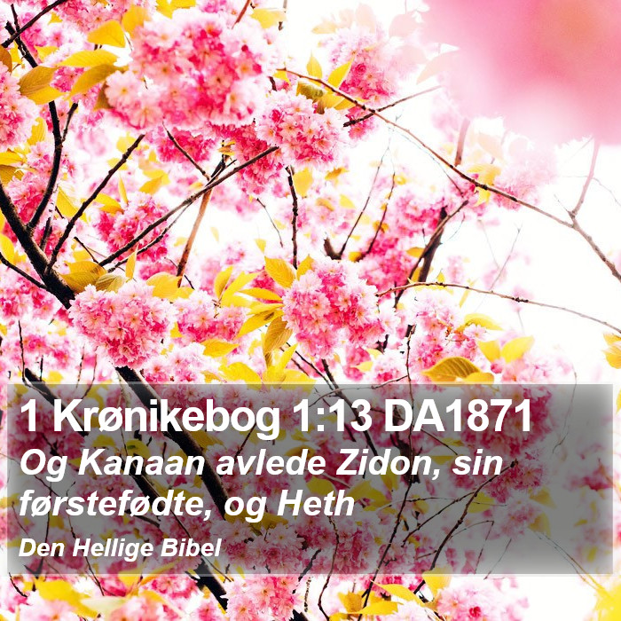 1 Krønikebog 1:13 DA1871 Bible Study