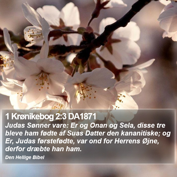 1 Krønikebog 2:3 DA1871 Bible Study