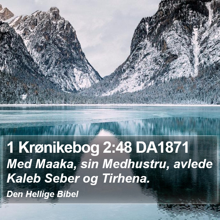 1 Krønikebog 2:48 DA1871 Bible Study