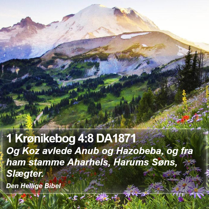 1 Krønikebog 4:8 DA1871 Bible Study