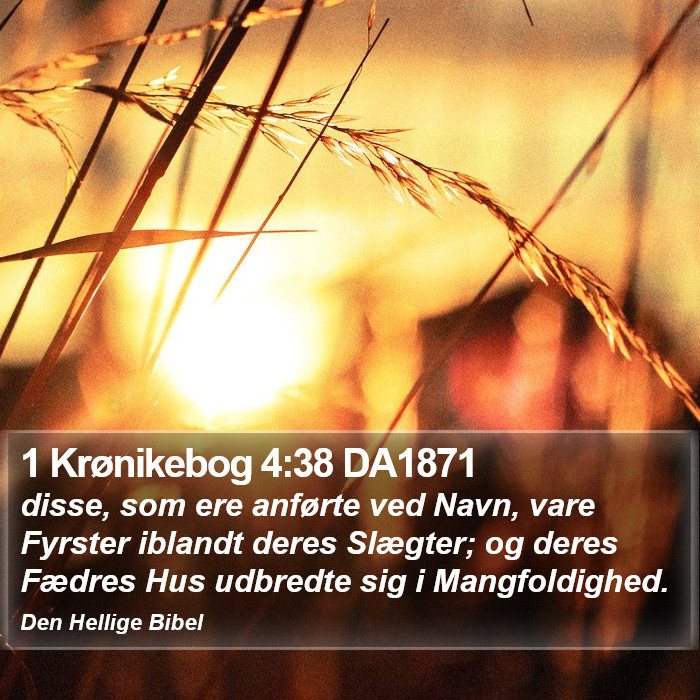 1 Krønikebog 4:38 DA1871 Bible Study