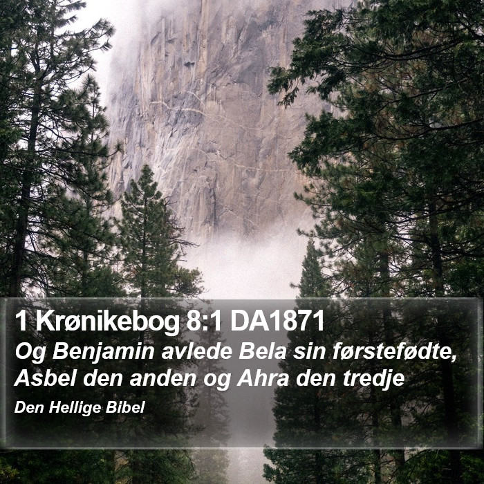 1 Krønikebog 8:1 DA1871 Bible Study