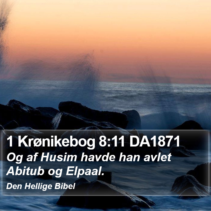 1 Krønikebog 8:11 DA1871 Bible Study