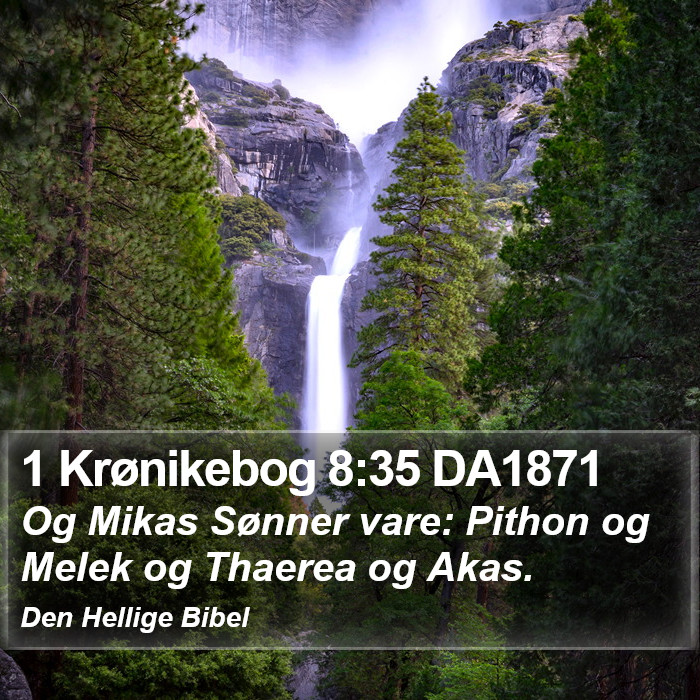 1 Krønikebog 8:35 DA1871 Bible Study