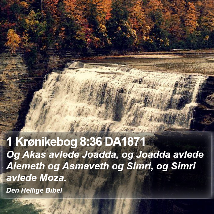 1 Krønikebog 8:36 DA1871 Bible Study