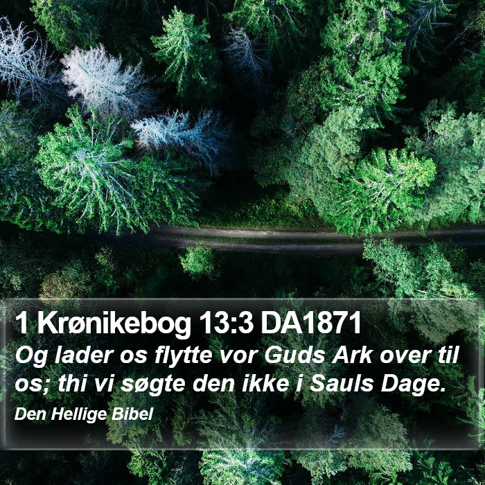 1 Krønikebog 13:3 DA1871 Bible Study