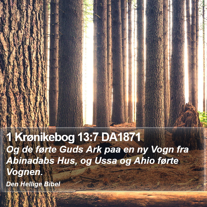 1 Krønikebog 13:7 DA1871 Bible Study