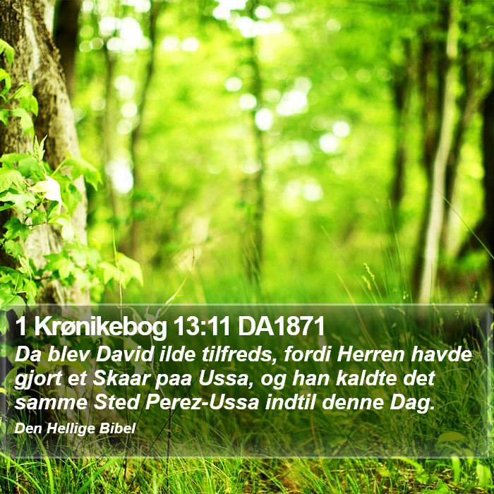 1 Krønikebog 13:11 DA1871 Bible Study