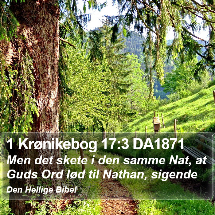 1 Krønikebog 17:3 DA1871 Bible Study