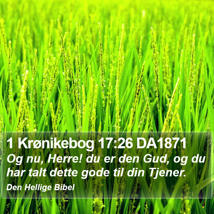 1 Krønikebog 17:26 DA1871 Bible Study