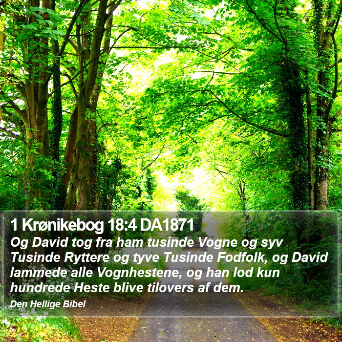 1 Krønikebog 18:4 DA1871 Bible Study