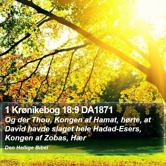 1 Krønikebog 18:9 DA1871 Bible Study