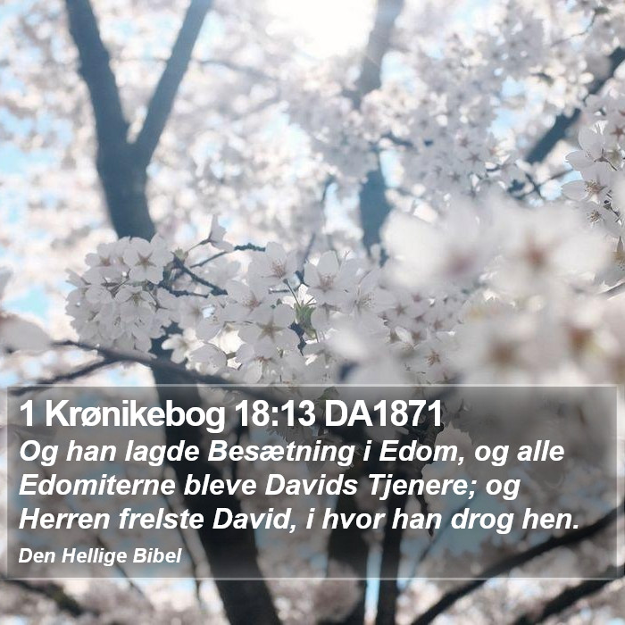 1 Krønikebog 18:13 DA1871 Bible Study